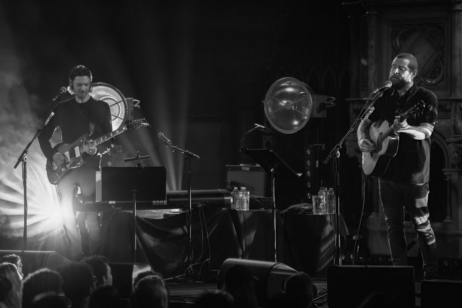 _DSC0082-2-DeNoiseAI-low-light-2